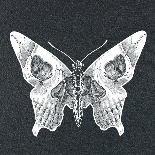 Butterfly skull